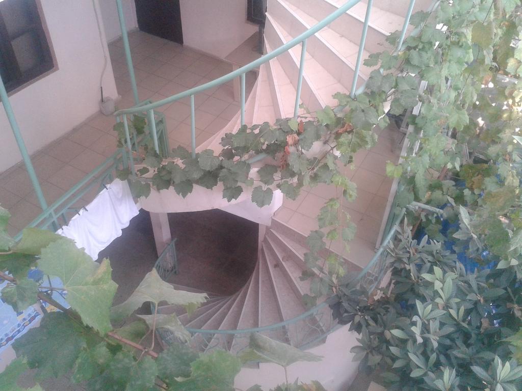 Maxim Mini Hotel Batumi Værelse billede